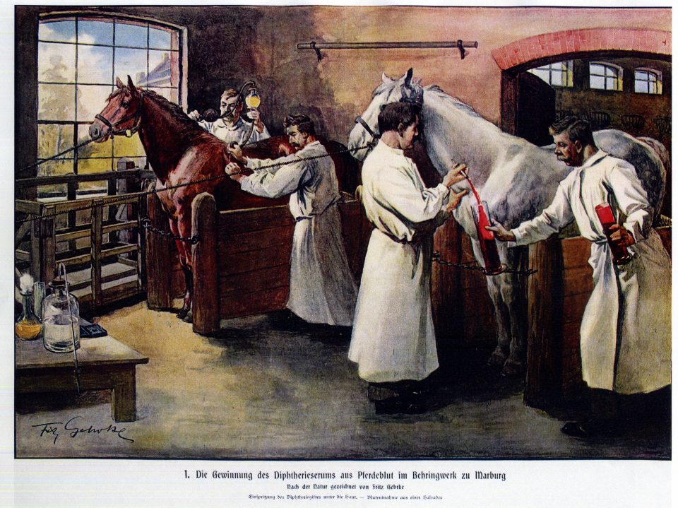 Farblithographie Farblithographie