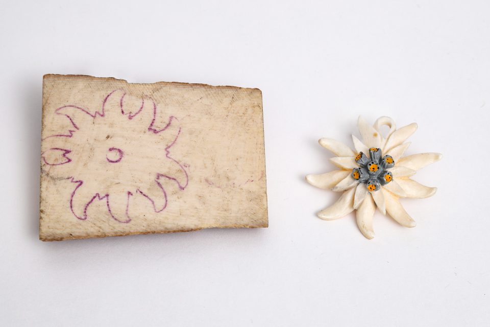 Elfenbein mit vorskizziertem Edelweiß und geschnitztes Edelweiß Elfenbein mit vorskizziertem Edelweiß und geschnitztes Edelweiß