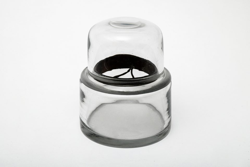 Exsiccator Exsiccator